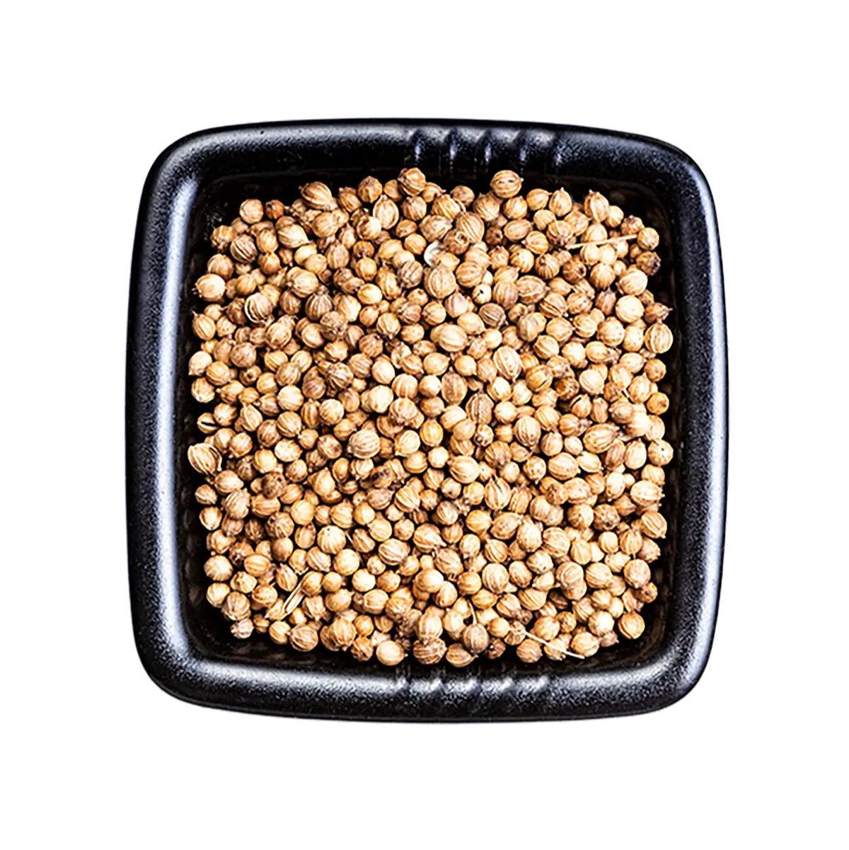 Natural Coriander Seeds